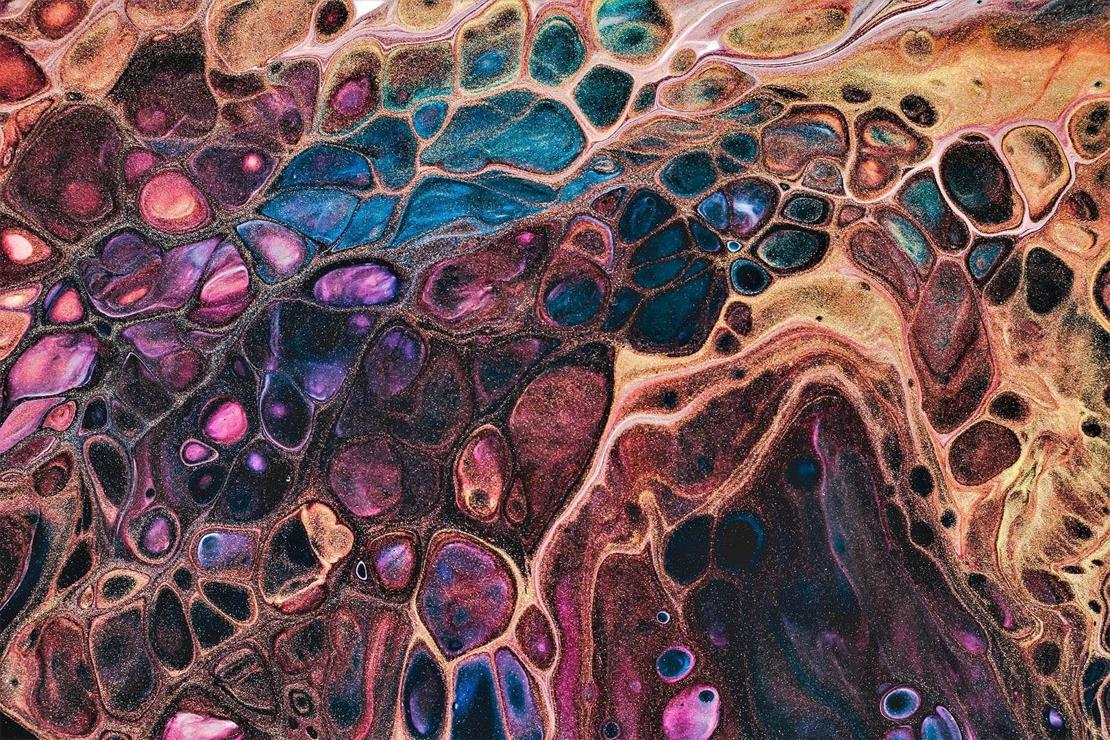 The Story Behind Forest Affair, Jant Jubilee & Oil of Noonight