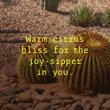 JANT JUBILEE · Body Oil