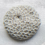 JANT JUBILEE · Body Oil