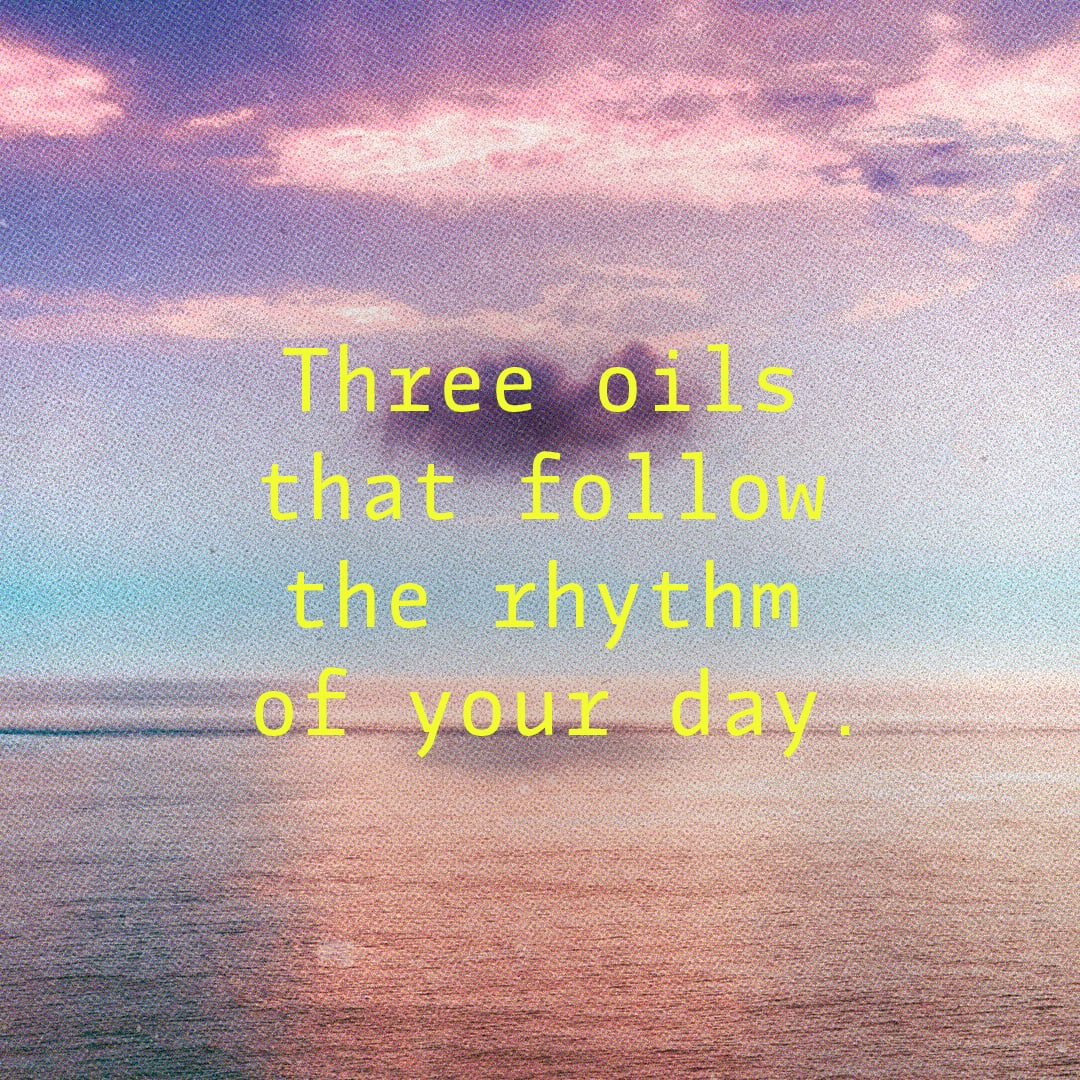 THE LIQUID PICNIC CIRCLE OF CARE