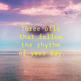 THE LIQUID PICNIC CIRCLE OF CARE