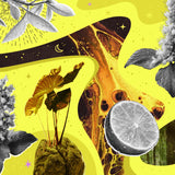 FOREST AFFAIR · Body Oil