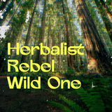 FOREST AFFAIR · Body Oil